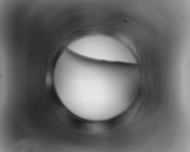 X0000097000069200802081036