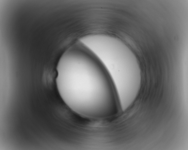 X0000097000072200802081036