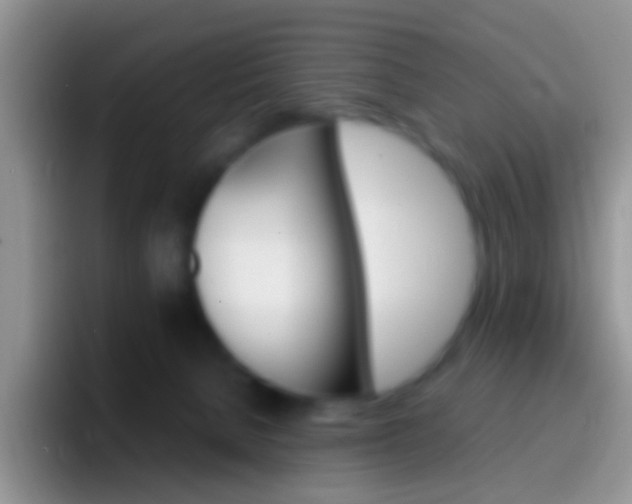 X0000097000080200802081036