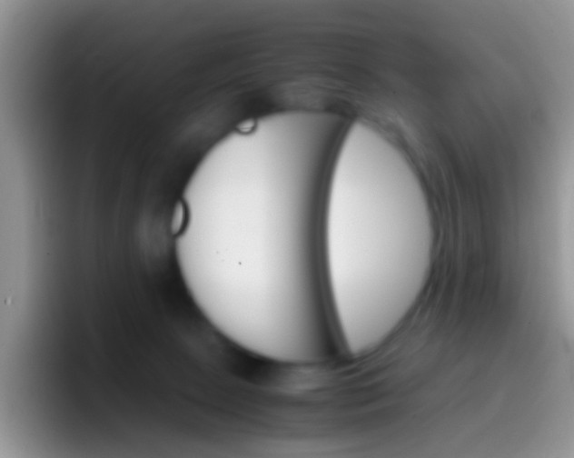 X0000097000081200802081036