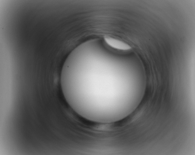 X0000097000084200802081037