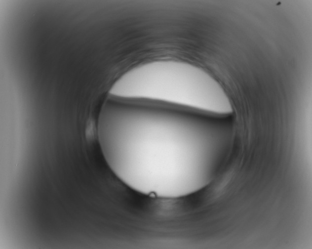 X0000097000089200802081037