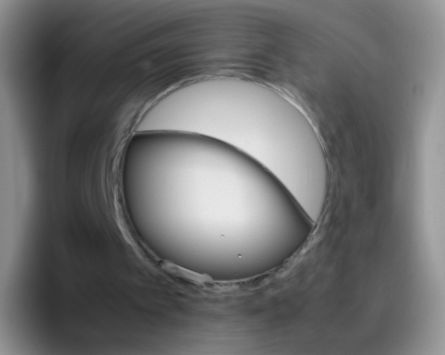 X0000097000097200802081036