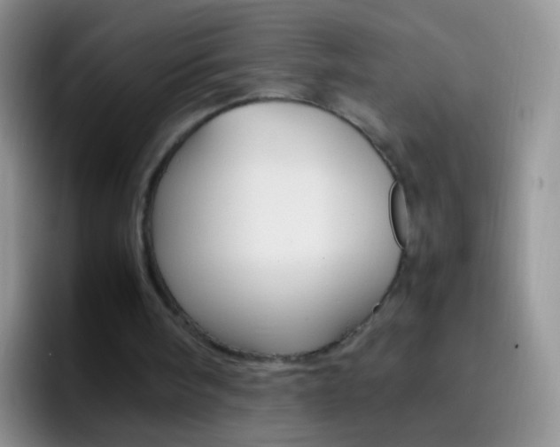 X0000097000098200802081036