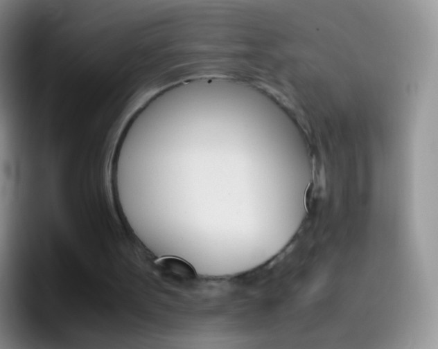 X0000097000099200802081036