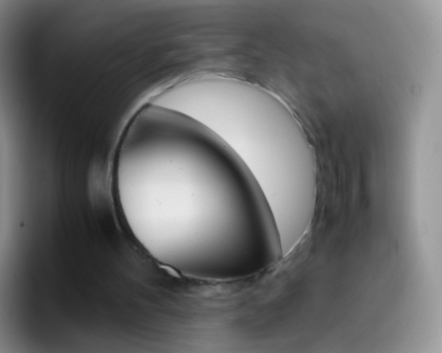 X0000097000100200802081036