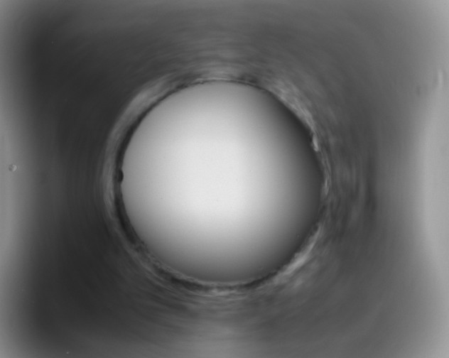 X0000097000101200802081036