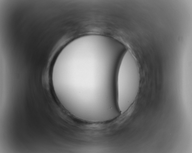 X0000097000102200802081036