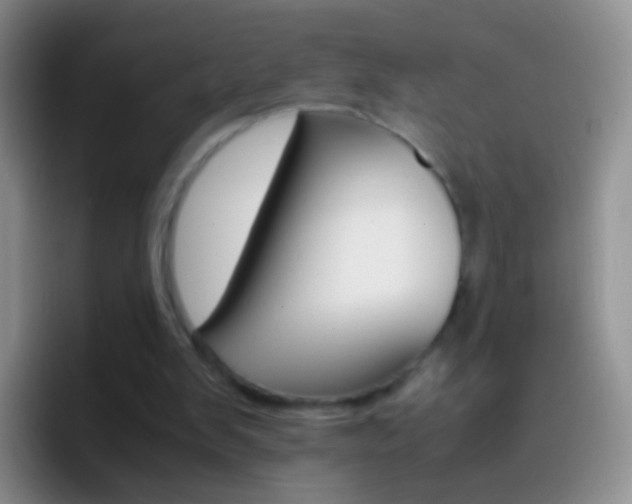 X0000097000103200802081036