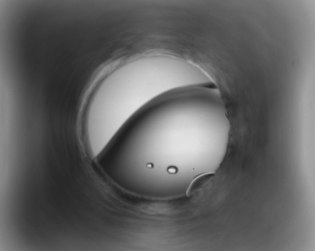 X0000097000104200802081036