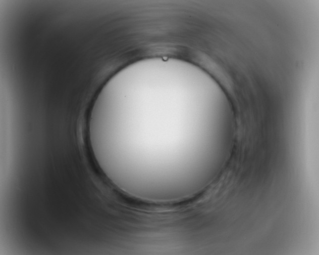 X0000097000107200802081036