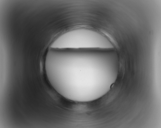 X0000097000110200802081036