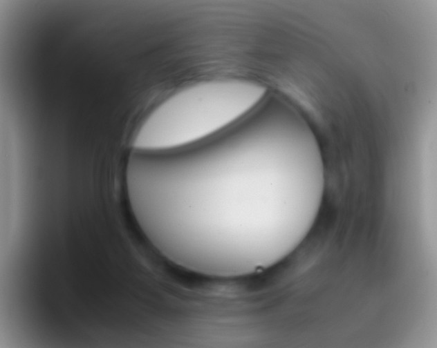 X0000097000115200802081036