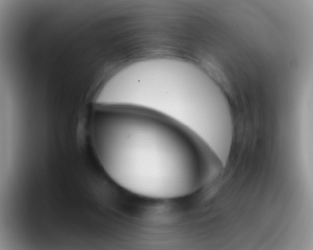 X0000097000116200802081036
