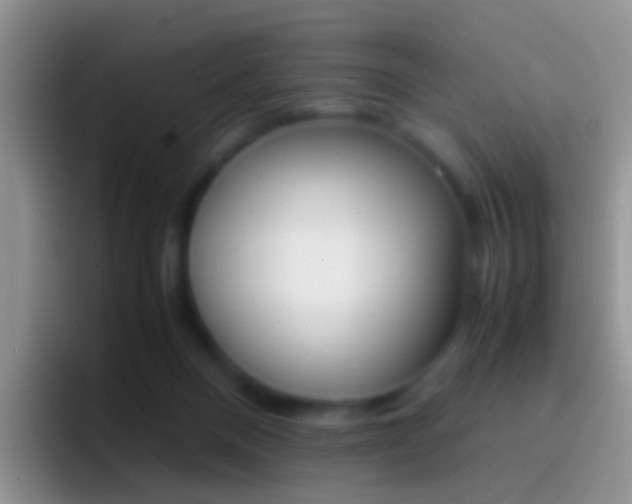 X0000097000120200802081036