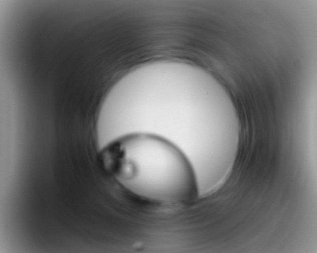 X0000097000128200802081036