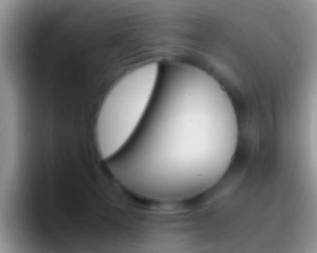 X0000097000129200802081036