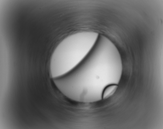 X0000097000131200802081036