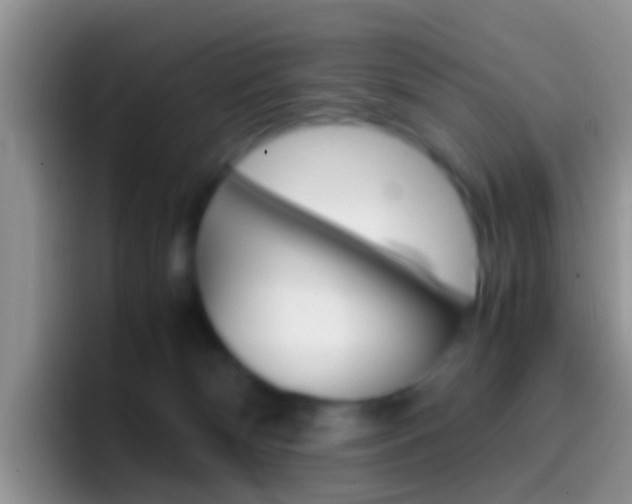 X0000097000132200802081036