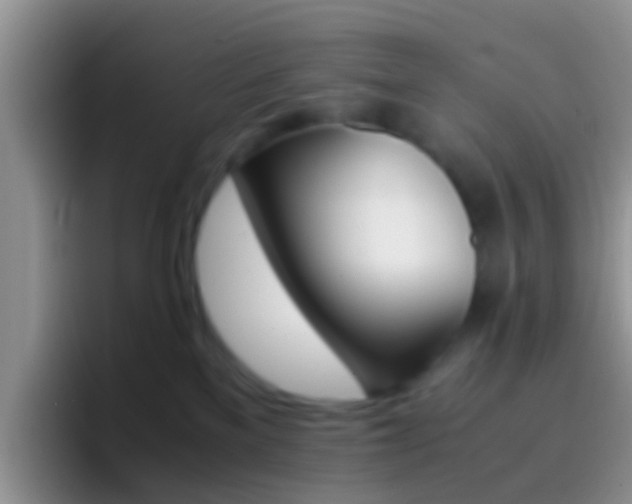 X0000097000137200802081036