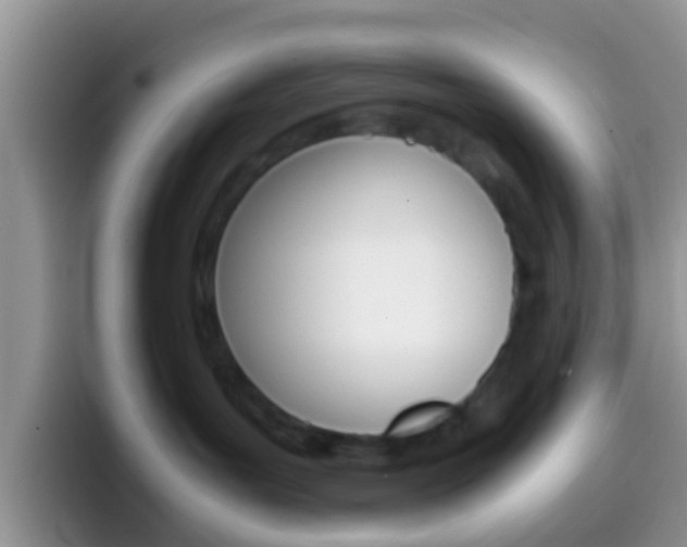 X0000097000143200802081035