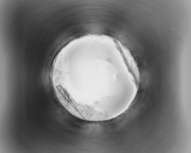 X0000097000146200802081035