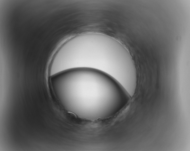 X0000097000148200802081035