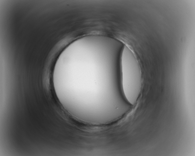 X0000097000149200802081035