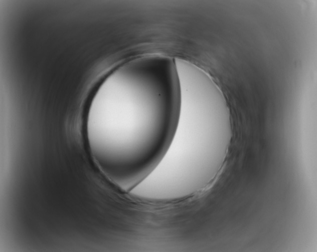X0000097000150200802081035