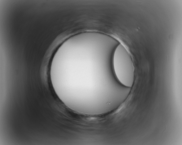 X0000097000151200802081035
