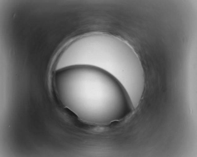 X0000097000152200802081035