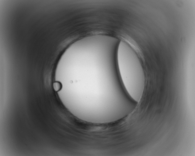 X0000097000155200802081035