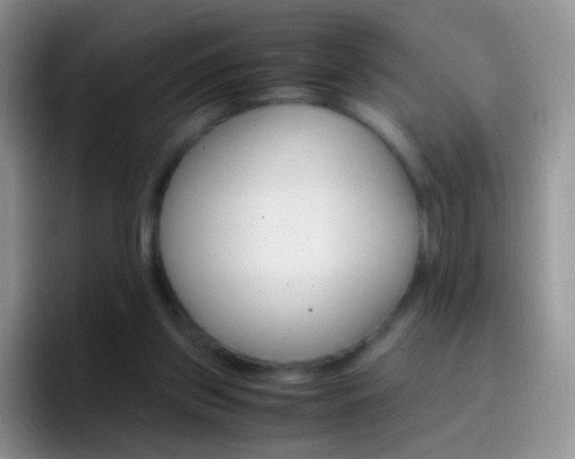 X0000097000157200802081035