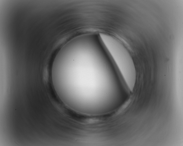 X0000097000158200802081035