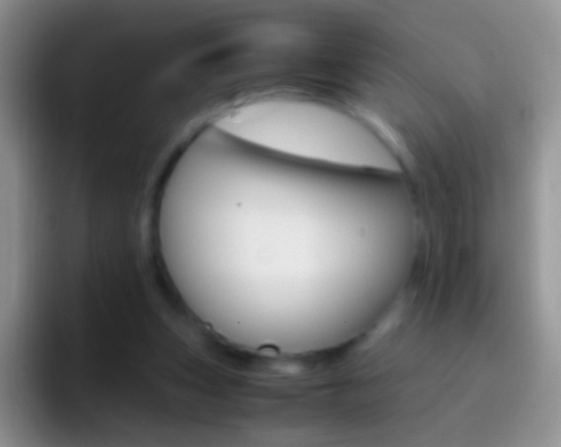 X0000097000159200802081035