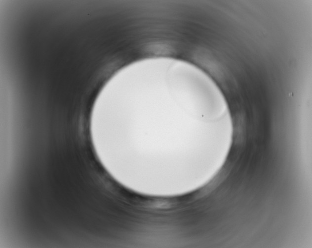 X0000097000162200802081035