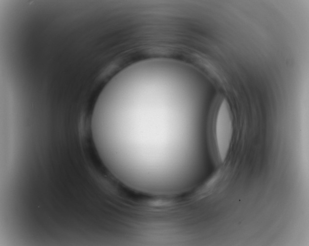 X0000097000168200802081035