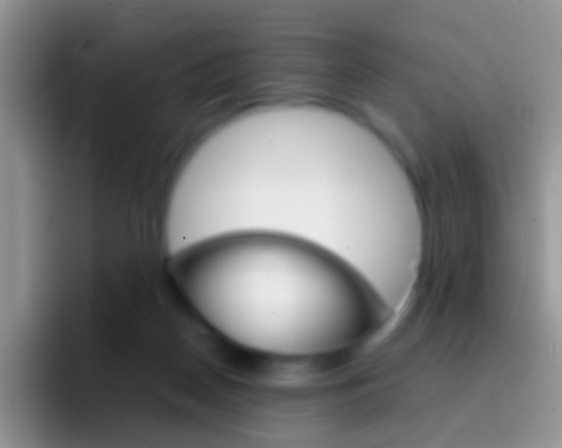 X0000097000170200802081035
