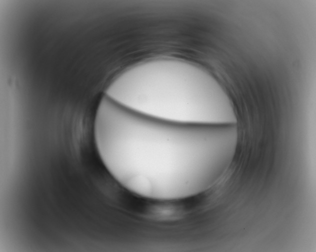 X0000097000171200802081035