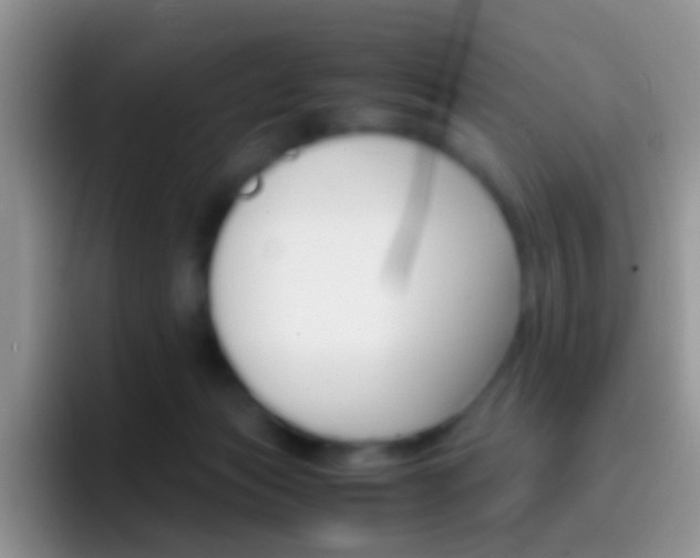 X0000097000173200802081035