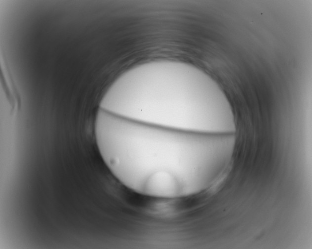 X0000097000178200802081035