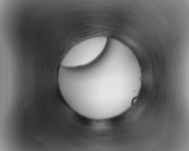 X0000097000181200802081035