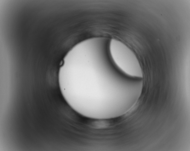 X0000097000183200802081035