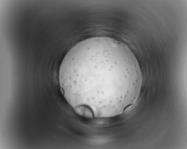 X0000097000187200802081035