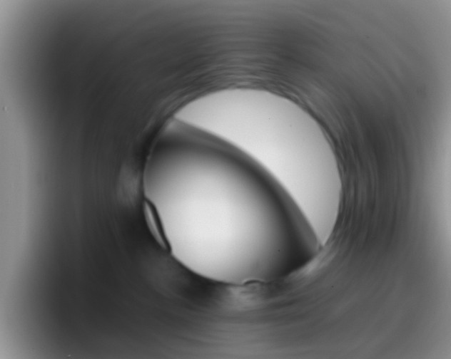 X0000097000188200802081035