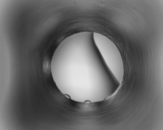 X0000097000191200802081035
