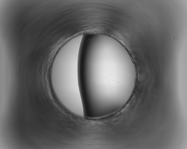 X0000097000193200802081035