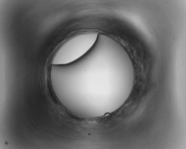 X0000097000194200802081035