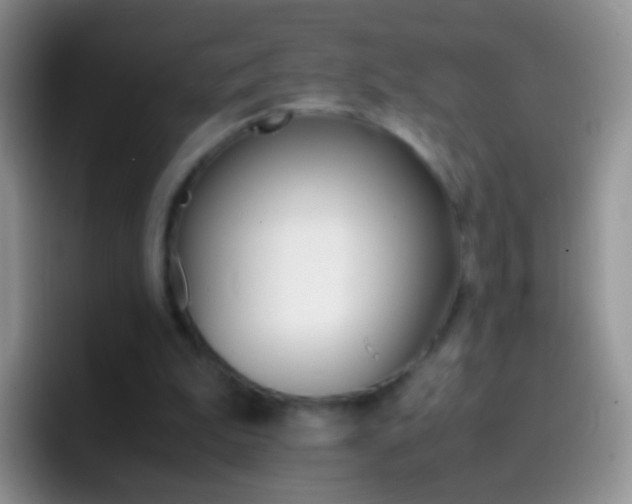 X0000097000199200802081035