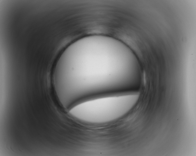 X0000097000204200802081035